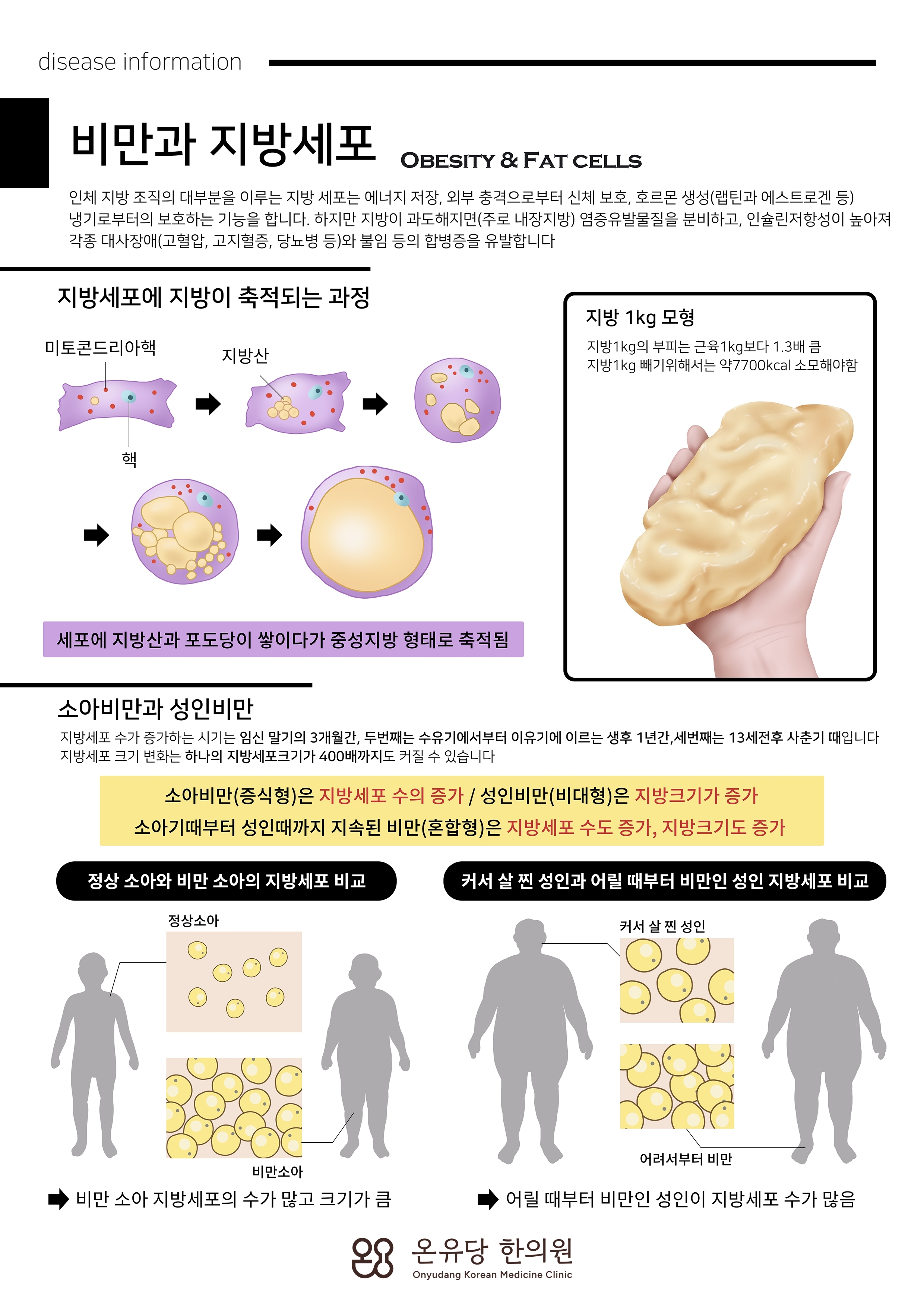 온유당 다이어트 프로그램 종합 가이드